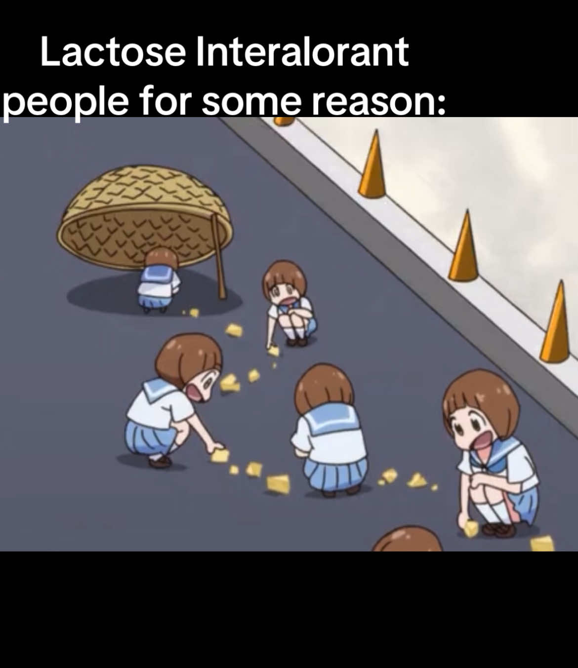 Always wanting dairy #lactoseintolerant #literalmemes #lactose #cheese #trap 