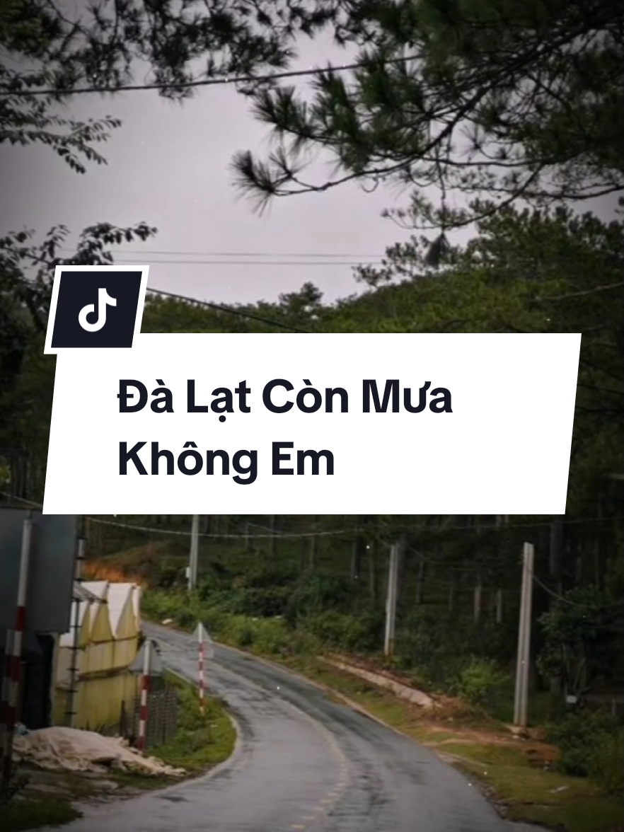 Có con đường... #nhachaymoingay  #nhactamtrang  #xuhuong2025  #foryou  #fyp 