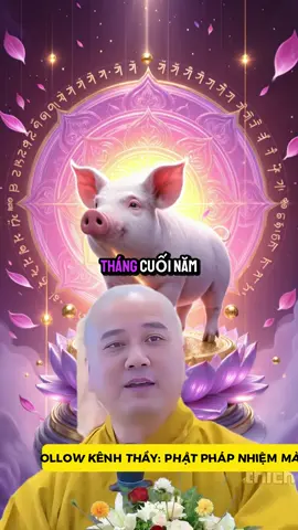 Tuổi Hợi 3 tháng cuối năm sẽ ra sao #tuoihoi #phongthuytamlinh #congiapmayman #vongtayphongthuy #thayphaphoa 