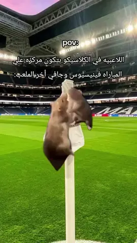 😭😭😂#زوز_تعشق_مدريد🥹💘 #football #foryou #برشلونة #فينسيوس #غافي #كريستيانو #