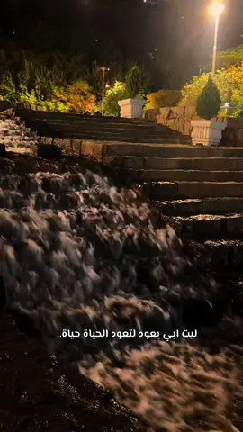 ليت 💔💔 #فديوهات_متنوعه #تصميم_فيديوهات🎶🎤🎬 #fyp #foryoupage 