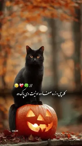 #CapCut Hu sir 🤚🖤 #تمپلیت_جدید ته باديــر خلک له لاسه ورکې🤕❤️‍🩹#تمپلیت_جدید #رپ_پشتو  رپ_فارسی اهنګ_پشتو اهنک_افغانی اهنک_ایران_غمگین_غاشقان creatorsearchinsights #oo__3salar_afg 