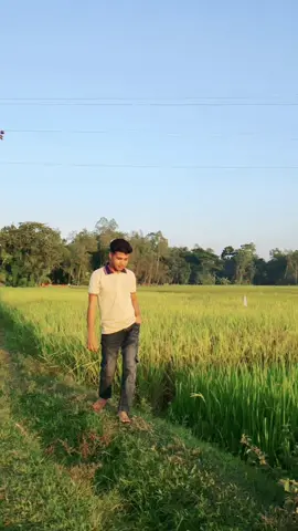 #trandingvideo #tiktokbangladesh #ভাইরাল #foryoupage 