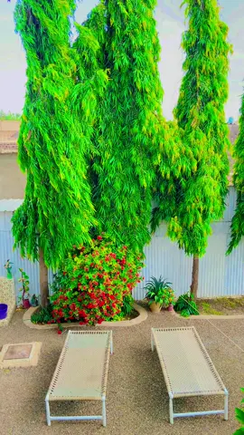 القضارف  #القضارف -والخلاء 