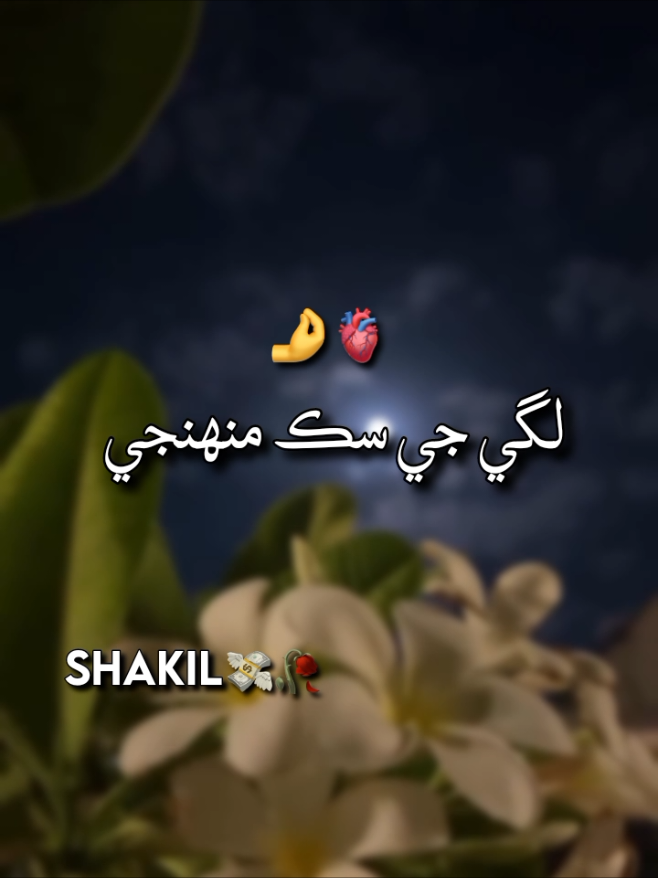 Lage je sik munjhe <😭❤️‍🔥🕊️ ( Rech down ) 🌸 #sindhisong #sindhistatus #treanding #goviral #pyppppppppppppppppppp 