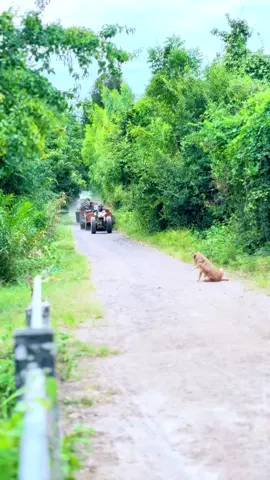 ด่วนขี้วัว💩🐂#ซุ้มนายหนวด #พวกนายหนวด💯🥰 