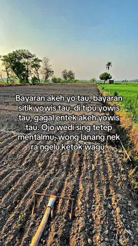 Noto mental #kata #fyp #petaniindonesia🇮🇩🇮🇩🇮🇩🌿🌿 #petanimuda 