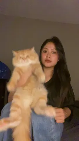 Ko bisa cocok gt tuing tuingnya wkwkw #kucing #kucinglucu #kucingtiktok #kucinggemoy #kucingoren #kucingviral #cats #catsoftiktok #catslovers #catsvideo #catlovers 