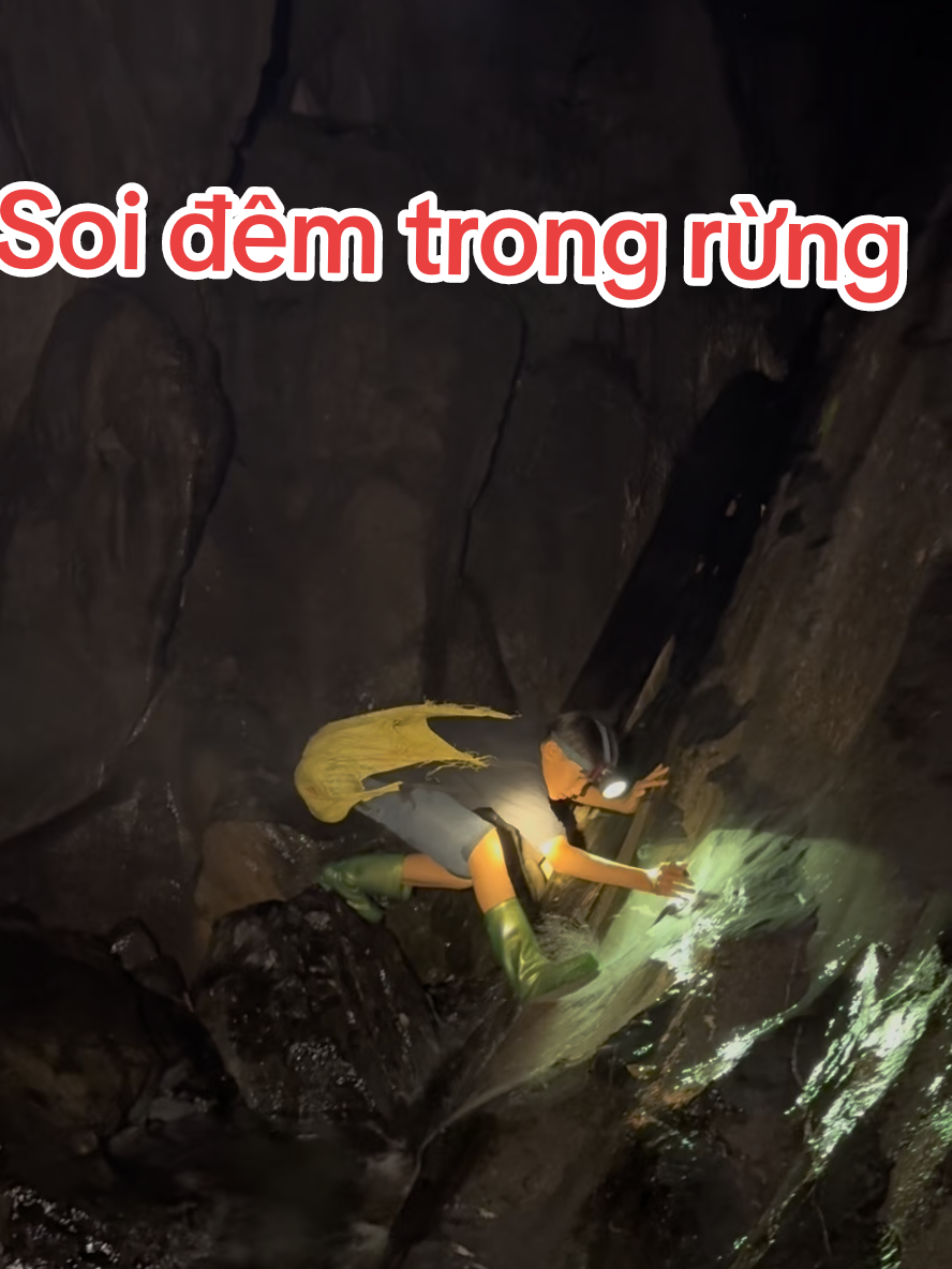 soi đêm trong rừng sâu, gặp được vua rừng, ếch rừng, dúi rừng #matgan #bomau #xoabopxuongkhop #trieuthixien 