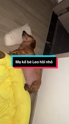 Bé Leo hồi nhỏ tập ngồi xe máy và hay giận 🥰 #leothomthao #leo #luitheo 