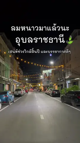 อุบลราชธานีบ้านเฮา ลมหนาวมาแล้ว✨🍃 #อุบลราชธานี #อุบล #เที่ยวอุบลราชธานี #รีวิวอุบล #อุบลหวานมากกกก❤️‍🔥🤫 