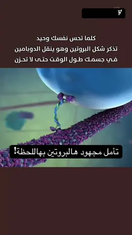 البروتين عم “يمشي” داخل خلاياك طول الوقت، ناقل ملايين الجزيئات اللي بتخليك تتحرك و تفكر وتشعر من غير ما تحس