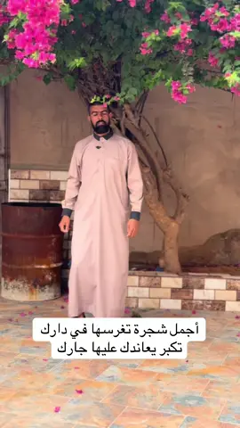 #الشعب_الصيني_ماله_حل😂😂 #اغرس_شجرة #الجزائر #ليبيا #شجرة 