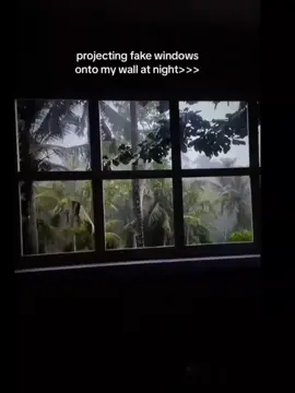 #fakewindow #tiktokmademebuyit #ordernow🛍️ 