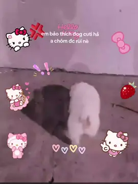em bảo thik dog nên a chôm 😆😆😆😂🤤#xhhhhhhhhhhhhhhhhhhhhhhh #xhtiktok #viral #fyppppppppppppppppppppppp #tiktokgiaitri 