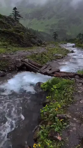 #viralvidoes_tik_tok 