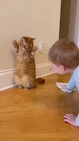 #cute #cutecat #cutebaby