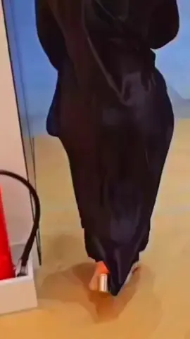 #اكسبلور 