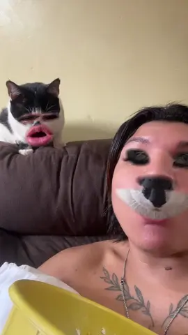 #viral_video_tiktok #foyou #gatos Compartilha