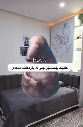 پارە بۆ  مەعیدە نەبێت بۆچی باشە😂😂