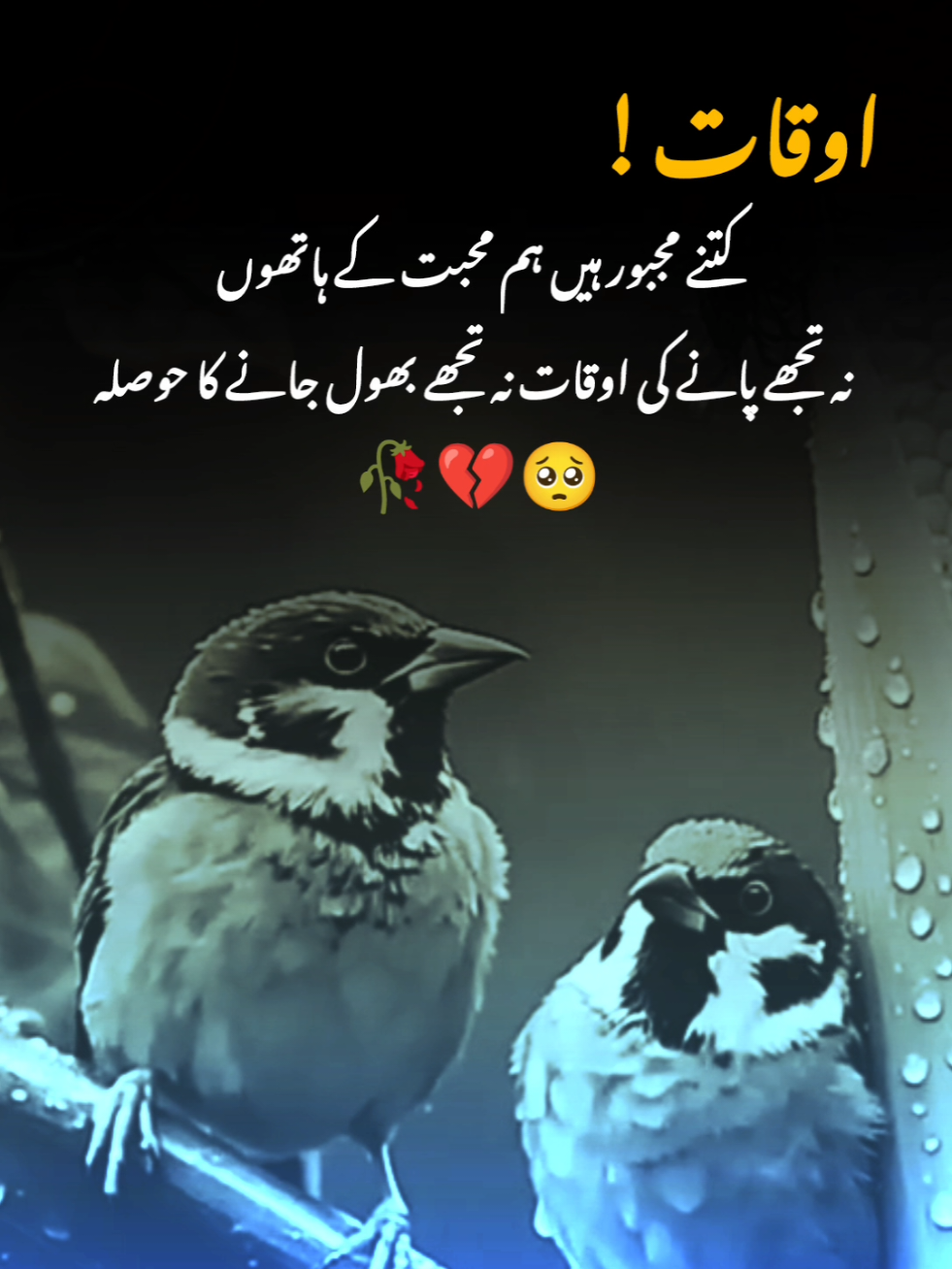 it's true 🥀💔🥺  #fypシ゚ #fypviralシ #urdupoetry #onemillionaudition 