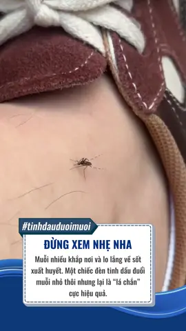 Rẻ lắm đó nha #tinhdauduoimuoi #muoi #giadungtienich #viral 