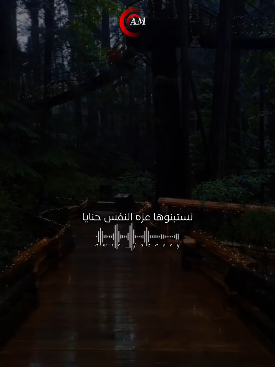 نستبنوها عزه النفس حنايا#مصمم_فيديوهات🎬🎵 #متابعه_ولايك_واكسبلور_احبكم #fypシ゚ #500k #explore @Hafid guidji 