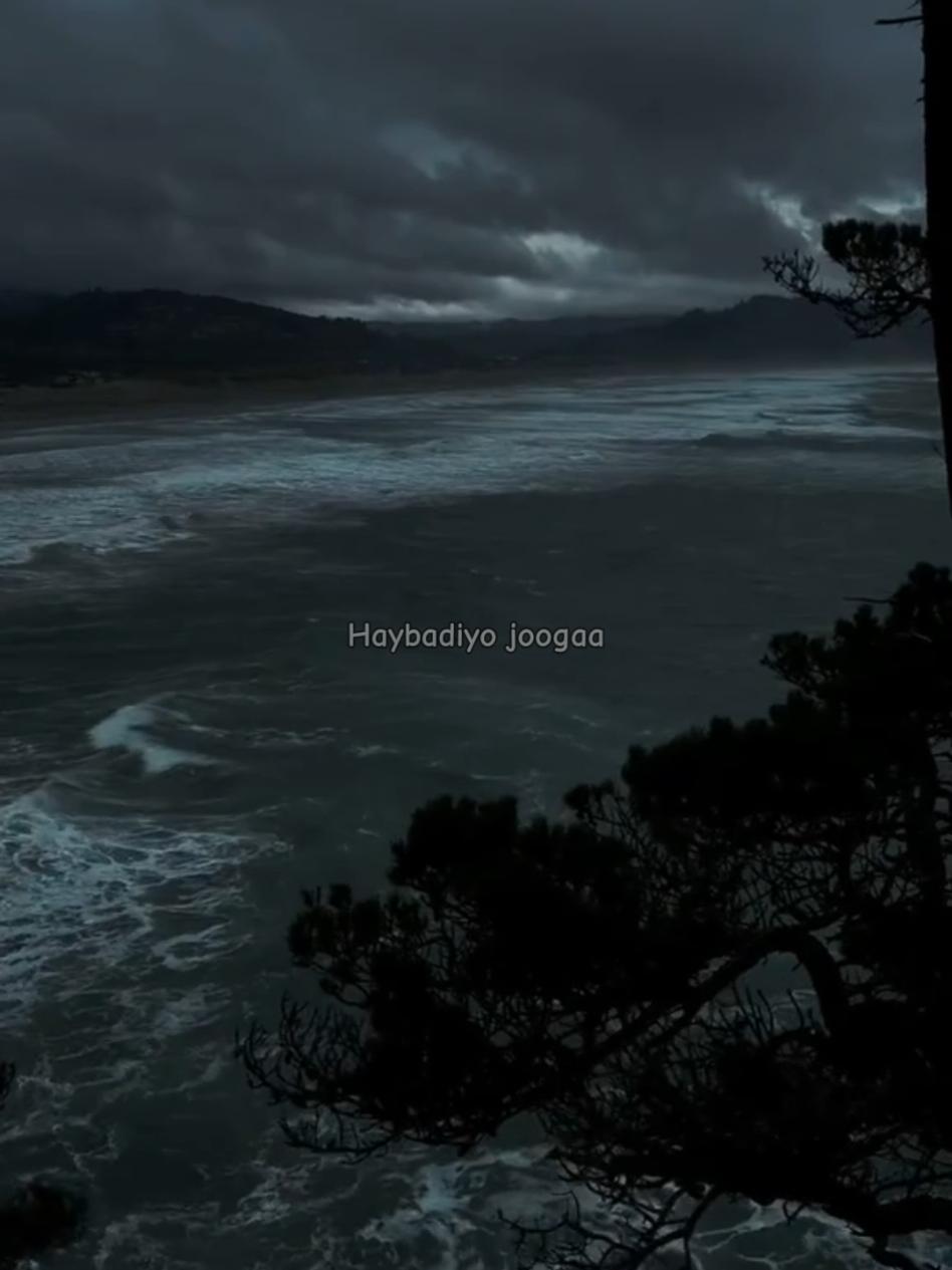 Qurux lohagogay adaa mudan qof loo heeso🗣🎤❤️😩#somalimusic #🌱ozil406🍂 #lyrics_songs 