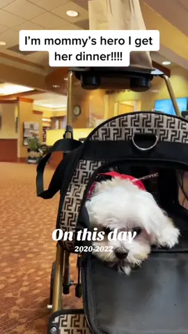 #onthisday #sweetbuddy😍 #misstheboyandmamabear 