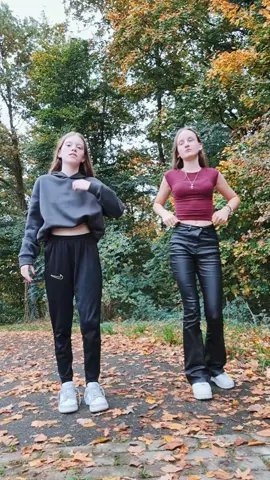 @045💕 #verveling #dansje #ny #song 