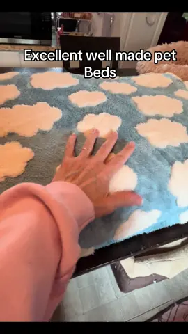 #petbed #dogbed #catbed #dogsoftiktok #cat 