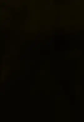 #shiekh #brothers #levelup #foryou #