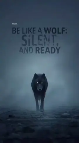 #believe #everythingisposible #psychology #quotes #protectyourself 