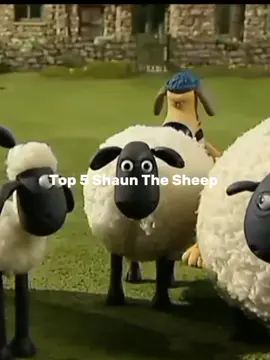 top sinko 😹#foryou #tiktok #meme #shaunthesheep 