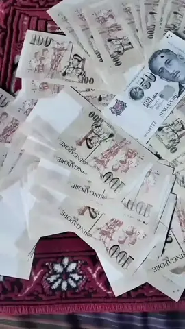 #fypppp #wangsingapore #tkwsingapore🇸🇬 