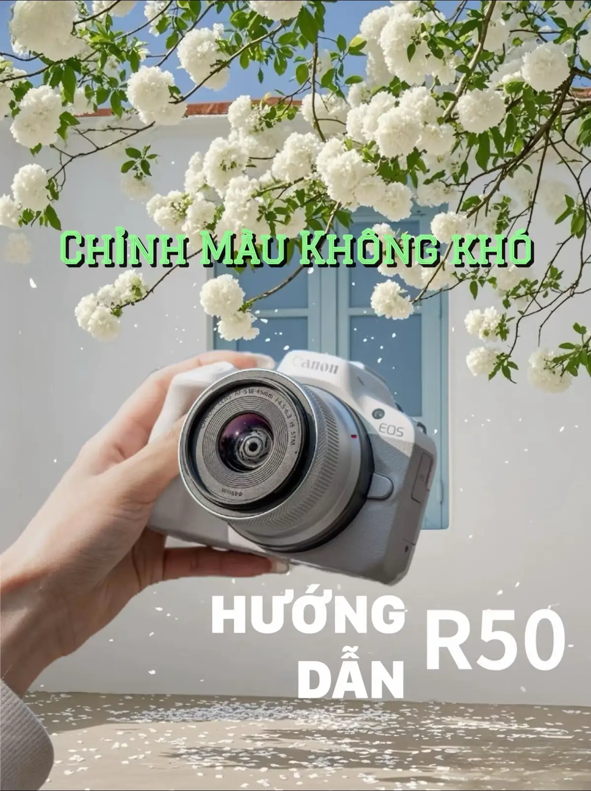 Chỉ cần làm chủ yếu tố này thì việc setup các tone màu phù hợp cho mỗi bối cảnh của bạn trông sẽ tự nhiên và đẹp hơn rất nhiều Chỉ với dòng Canon R50 giá chỉ 17tr thôi #CanonR50 #Canon #canoneosr50 #côngthứccanon 