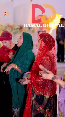 #damaldigital #fyyyyyyyyyyyyyyyyyyy #soomaligalbeed #Viral #trending 