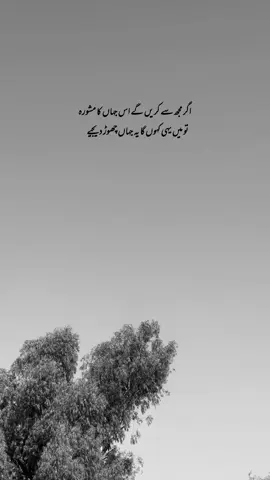Chor dijyeee 💔🙂 #fyppppppppppppppppppppppp #foryou #poetry #aesthetic 