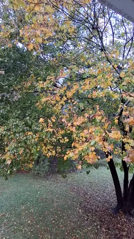 #Dios #lindodia #paratii #amate #unnuevodia 