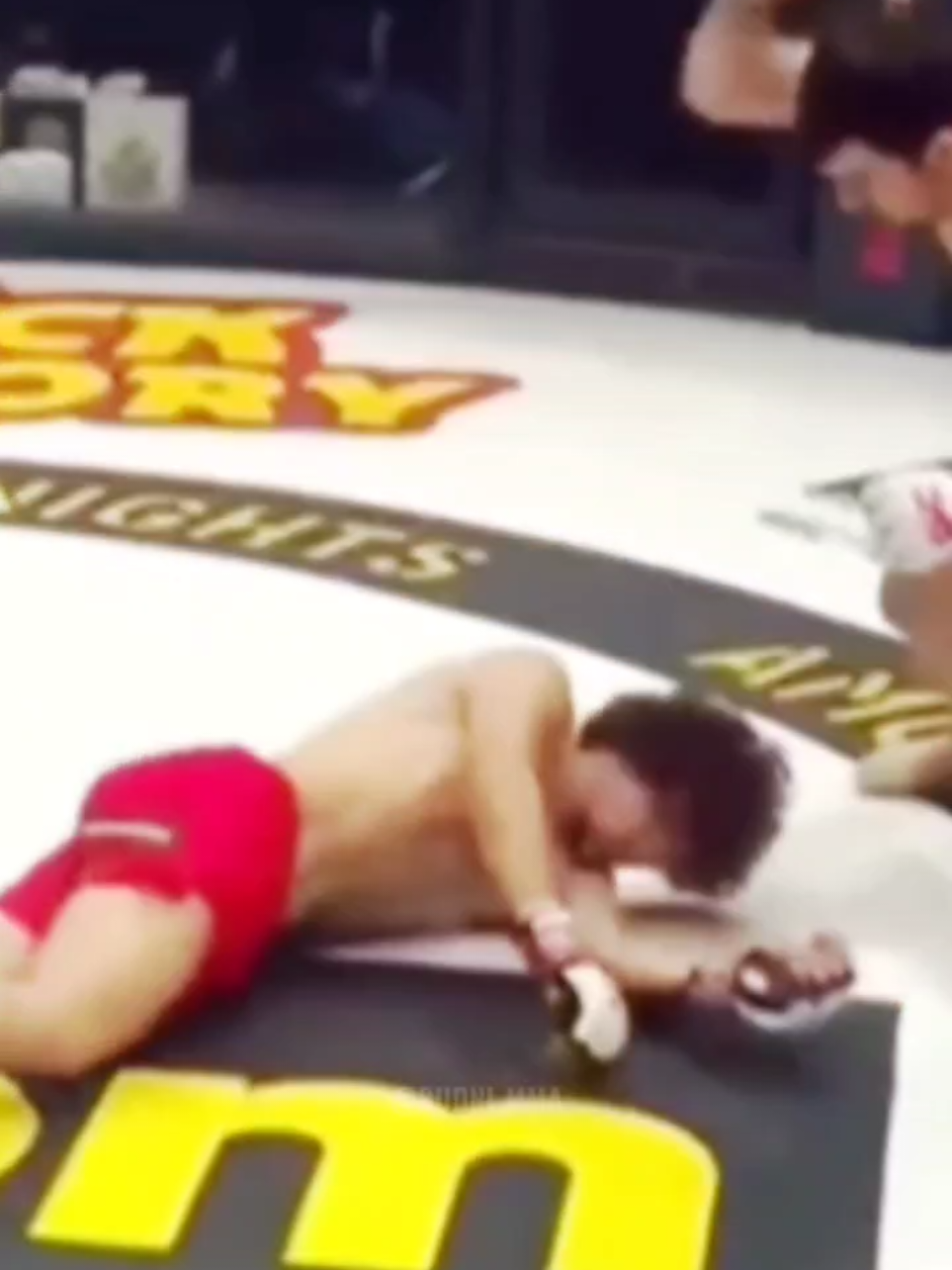 Это не НОКДАУН, это ОБМОРОК! Амирхан Оев  #амирханоев #чоршанбиев #попмма #budnimma 