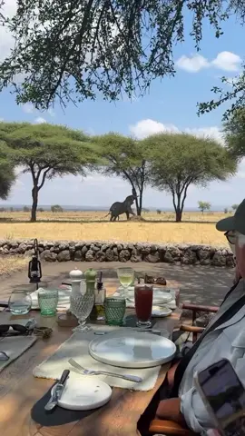 🌍 1-Month Africa Dream Safari & Beach Getaway Explore 10 Countries | 30 Days | Curated by Curious Safaris 🗓️ Itinerary Overview (30 Days / 29 Nights) 🇰🇪 Days 1–6: Kenya – Safari & Culture • Arrival in Nairobi – Giraffe Centre, Bomas of Kenya • 3 nights in Masai Mara – Private game drives, Hot Air Balloon Safari 🎈 • 1 night in Lake Naivasha – Boat ride + Crescent Island walk Accommodation: Elewana Sand River / Naivasha Sopa #matatuculturewithombima #gamedrivewithombima 🇹🇿 Days 7–10: Tanzania – Big Game Adventure • 2 nights in Serengeti – Game drives during Great Migration 🦁 • 1 night at Ngorongoro Crater – Crater floor game drive 🌋 Accommodation: Lemala Kuria Hills / Neptune Ngorongoro 🇹🇿 Days 11–14: Zanzibar – Spice & Sea • 1 night in Stone Town – Spice farm tour & dhow sunset sail • 3 nights in a beach resort – White sand, relaxation, snorkeling 🐚 Accommodation: The Palms Zanzibar / Zuri Zanzibar #beachvibezwithombima 🇿🇲🇿🇼 Days 15–18: Zambia & Zimbabwe – Victoria Falls • 2 nights in Livingstone – Zambezi River cruise & guided falls tour 🌊 • 2 nights in Victoria Falls, Zimbabwe – Devil’s Pool, Boma dinner show Accommodation: Thorntree River Lodge / Elephant Camp 🇧🇼 Days 19–21: Botswana – Delta Discovery • 1 night in Kasane – Chobe River safari (elephants galore!) 🐘 • 2 nights in Okavango Delta – Mokoro canoe safari & bush walks Accommodation: Camp Okavango / Chobe Game Lodge 🇲🇿 Days 22–24: Mozambique – Coastal Chill • 3 nights in Vilanculos – Snorkeling, dhow rides, beach picnics Accommodation: Bahia Mar Boutique / Santorini Mozambique 🇿🇦 Days 25–27: South Africa – Cape Town Wonders • Table Mountain cable car, Robben Island, Cape Winelands tour 🍷 Accommodation: One&Only Cape Town / Mount Nelson Hotel 🇲🇺 Days 28–29: Mauritius – Rainforest & Relaxation • Visit to Chamarel Falls, colored earths, beach relaxation Accommodation: Sugar Beach Resort / LUX Le Morne 🇸🇨 Days 30–31: Seychelles – Pure Island Luxury • La Digue & Praslin island hopping, snorkeling, beach villa stay 🏝️ Accommodation: Hilton Labriz / Four Seasons Seychelles 💰 Package Price (Per Person) • Mid-Luxury Package: $12,900 USD • Full Luxury Upgrade: $16,800 USD ✅ What’s Included in the Package ✔️ All accommodations (4–5-star lodges, camps, beach resorts) ✔️ All regional & in-country flights ✔️ All national park entry & conservation fees ✔️ Private game drives & expert guides ✔️ Balloon safari, Zambezi cruise, dhow sailing, spice tour ✔️ Domestic & regional transfers ✔️ Daily breakfast + most lunches and dinners ✔️ 24/7 on-ground support & tour director ✔️ Bottled water, permits, government taxes ✔️ Travel insurance (included in full luxury tier) 📜 Payment & Booking Policy – Curious Safaris 💳 50% deposit to secure booking 💳 Remaining 50% due 30 days before travel 🗓️ Free rescheduling up to 3 weeks before departure ✅ 100% refund if cancelled 60+ days before ✅ 50% refund if cancelled 30–59 days before 📞 Ready to Begin the Journey of a Lifetime? WhatsApp: +254 745 861 688 Email: curioussafariss@gmail.com ✨ Curated with love and expertise by #tourguideombima #curioussafaris 