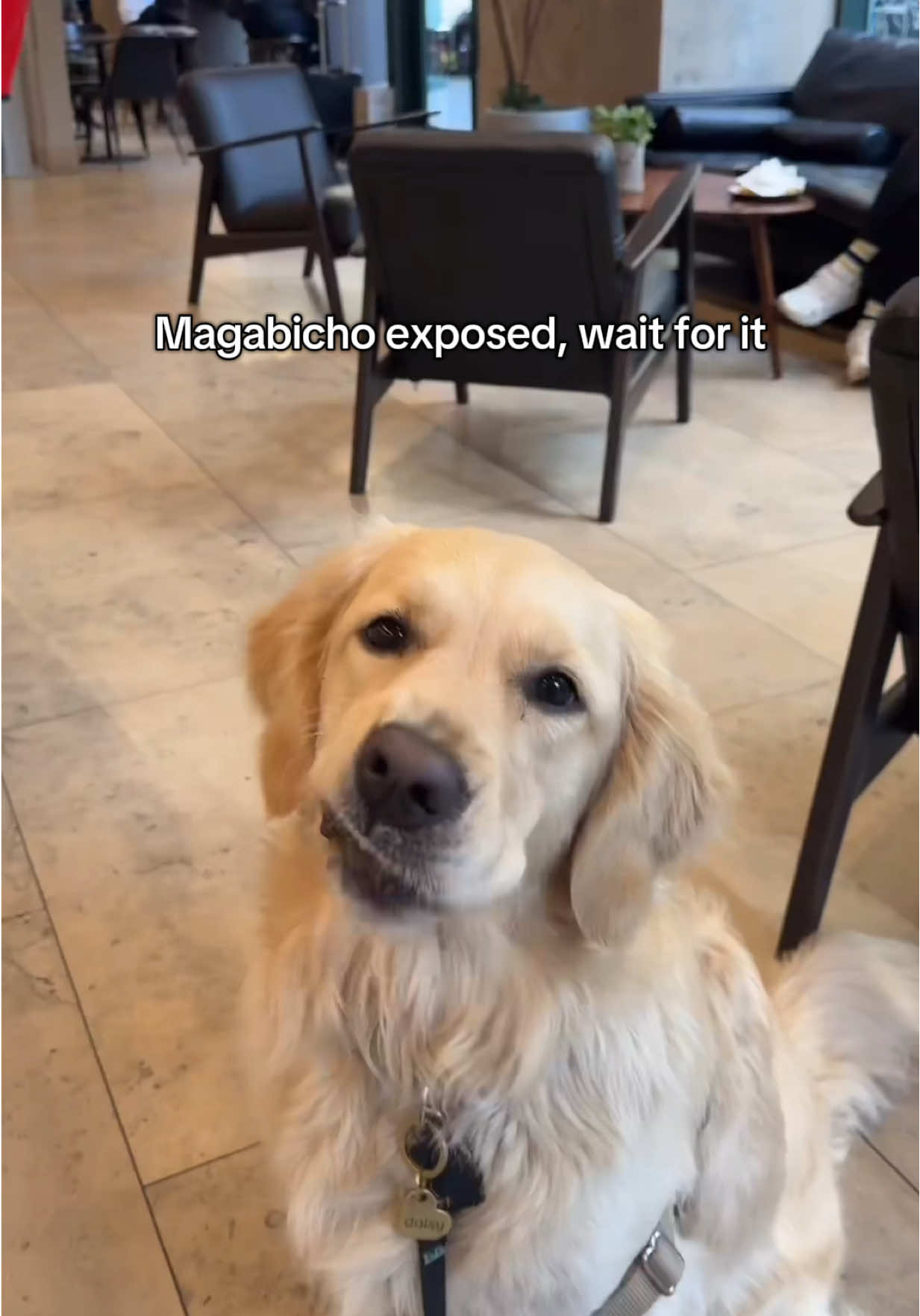 He RANNNN as soon as he finished his food and noticed me 😂😂😂😭😭😭 I couldn’t get a selfie video with him this time but there’s always next time 📸  #magabichos #nyc 