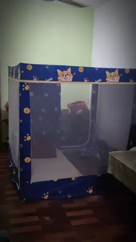 Kelambu tidur privasi ni kalau korang nak letak kt katil pun boleh sgt tau #kelambutidur #kelambutidurantinyamuk #kelambutidurmodern #kelambu #kelambubilik 