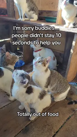 #fypage #america #fyp #fypage #america 