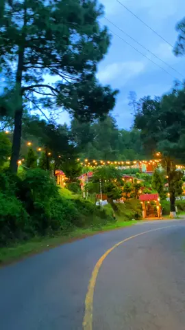 *RESTAURANTE CARMELITA EN SAN JOSÉ DEL PACÍFICO 🌴🍴* Disfruta de la deliciosa comida mexicana en el Restaurante Carmelita, ubicado en San Mateo Río Hondo, cerca de San José del Pacífico 🌟. Con un ambiente agradable y jardines bonitos, es el lugar perfecto para relajarte y disfrutar de un buen plato 🌿. *DETALLES DEL RESTAURANTE 📝* - *DIRECCIÓN:* Carretera, 70861, cerca de San José del Pacífico *¡VEN Y DISFRUTA DE LA DELICIOSA COMIDA EN RESTAURANTE CARMELITA! 🌴👌* #Carmelita #SanJoséDelPacífico #Restaurante #ComidaMexicana #Oaxaca  