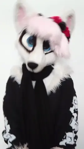 My default poses for photos #furry #fursuit #cutefurry #poseforthefans #foryoupage 