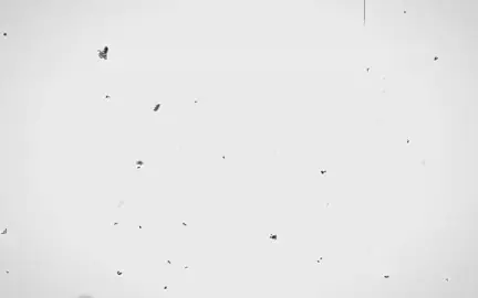 [ Kiếm Lai ] Tiễn người đi muôn dặm, cuối cùng vẫn phải chia ly #tetinhxuan #kiemlai #tranbinhan #hoathinhtrungquoc #fyp 