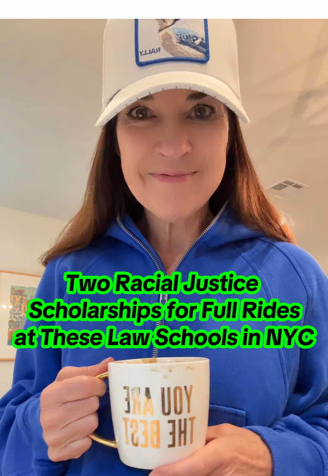 If you are interested in pursuing a career in social or racial justice, both Columbia University Law School and New York Law School (not to be confused with NYU) offer multiple full tuition scholarships for students who are committed to pursuing civil rights, racial justice, or another social justice career path.  📌These schools are both available for tours at the upcoming @Black Pre-Law Conference in NYC next month. 🔗Links to scholarship info and conference registration are below!  💙🤍, Prof. Nasser, @Dillard University Pre-Law Director #hbcu #racialjustice #lawschool #scholarship #blackexcellence 