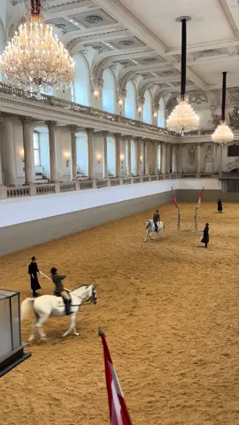 Far from the spotlight, on the lunge line, our young eleves and apprentices lay the foundation for classical excellence in the saddle. Guided by experienced riders, they develop - step by step, without stirrups - an independent, balanced seat: the most refined tool for harmonious communication with the horse. #spanishridingschool 