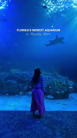 FLORIDA’S NEWEST AQUARIUM is finally here 🐠  Just visited the brand-new Mote Science Education Aquarium (Mote SEA) in Sarasota — it opened this month and it was an incredible experience. 🦈 This 146,000 sq ft space brings the ocean to life with massive tanks, interactive exhibits, and live STEM labs where visitors can see marine science in action. I loved seeing the manatees and the penguins — they were definitely my favorite part. 💙 If you’re planning a Florida trip, add this one to your list.  📍225 University Town Center Drive, Sarasota, FL 34243 #MoteSEA #MoteAquarium #VisitSarasota #travelblogger #visitflorida  Best Aquariums in the United States, New Aquarium in Florida 